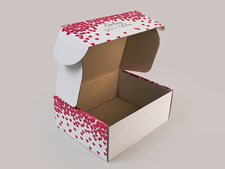 Foldable Mailer Box for Festivals